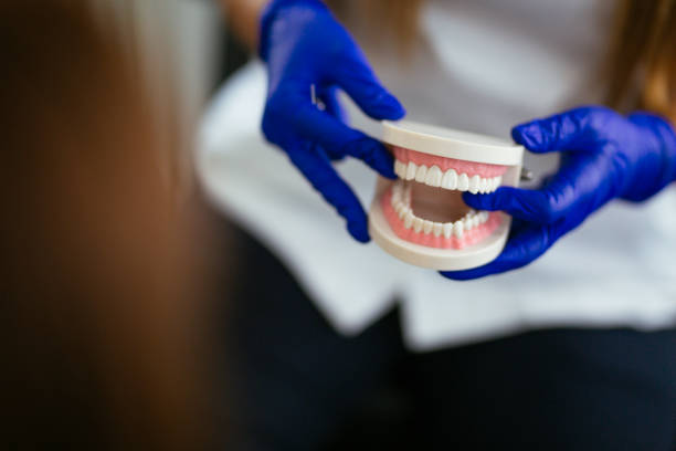 Trusted Mccalla, AL Dental Services Experts